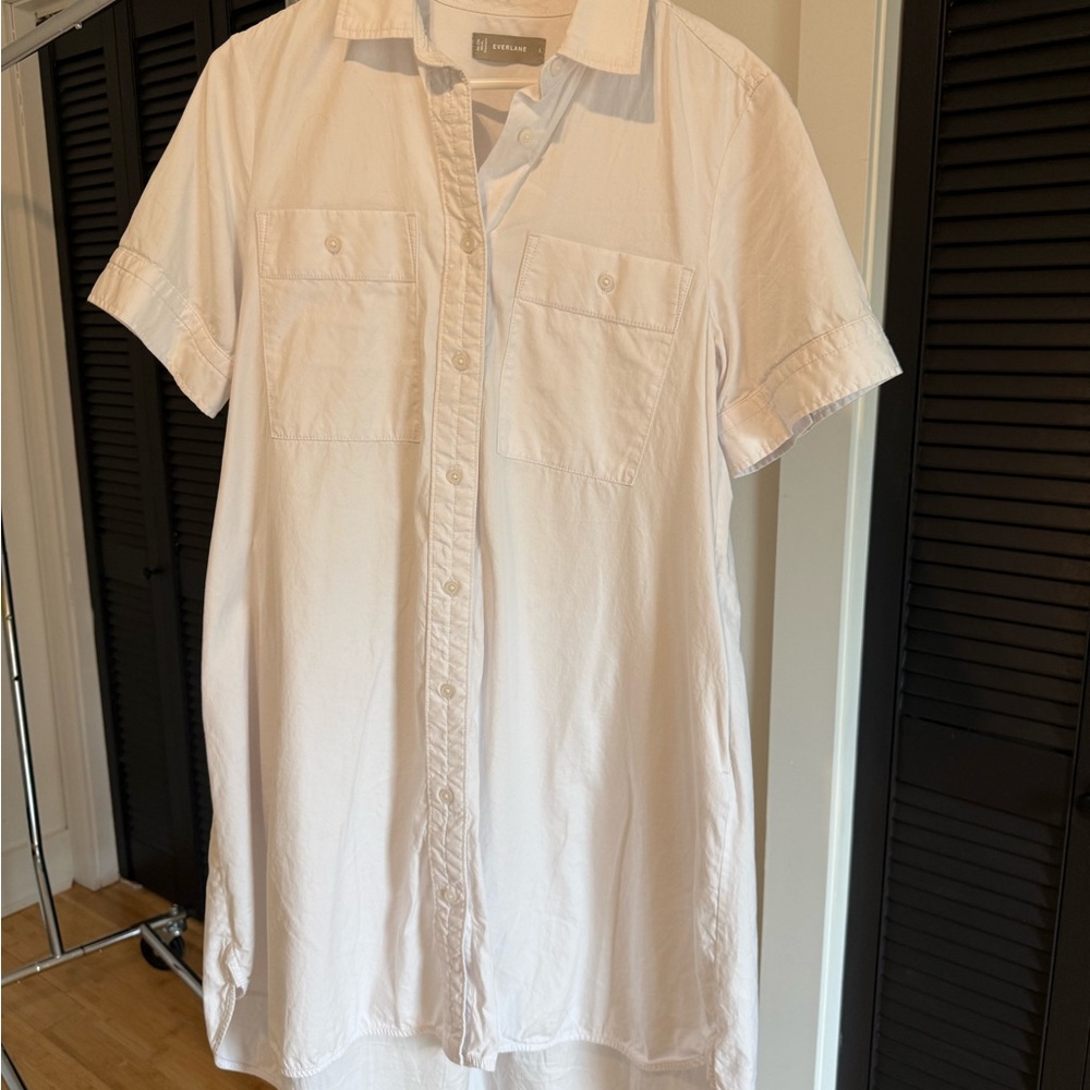 Everlane Classic White Collared Shirt